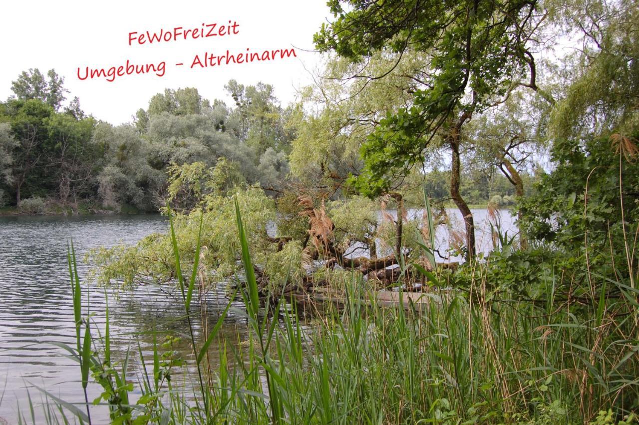 Fewofreizeit Rheinau Extérieur photo