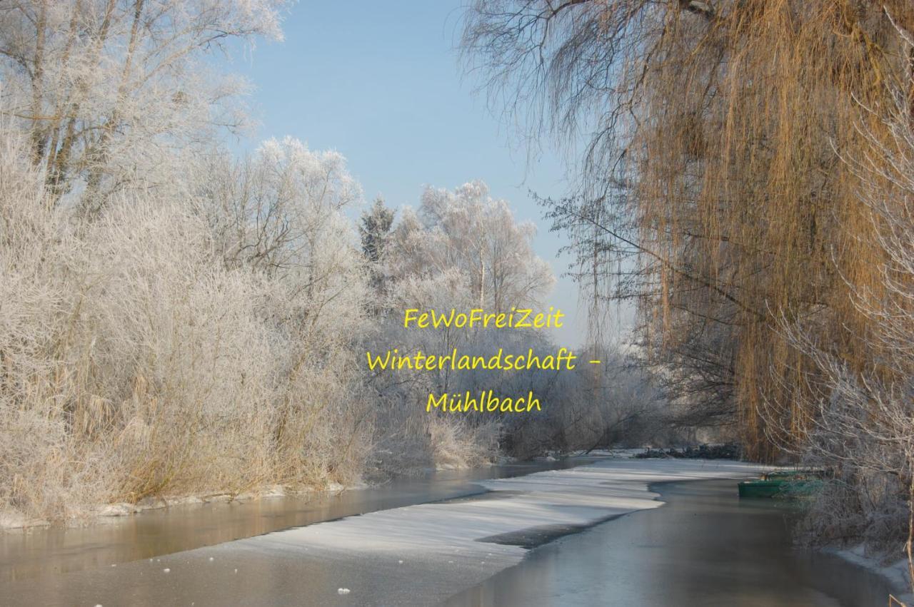 Fewofreizeit Rheinau Extérieur photo
